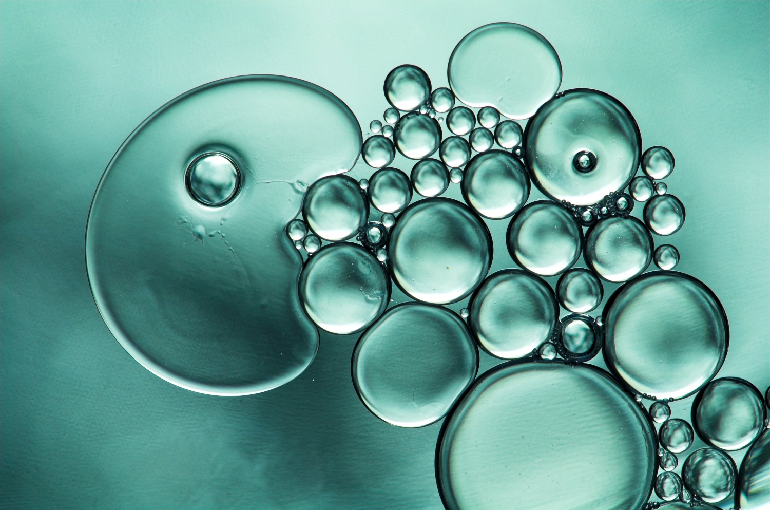 ‘Dancing’ oil droplets may help build synthetic cells