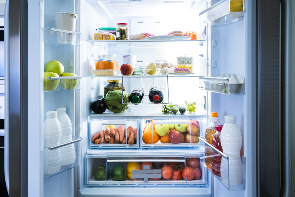 Refrigerator temperatures influence domestic food safety