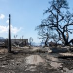 Met honderd doden was de brand op het eiland Maui (augustus 2023) een van de dodelijkste natuurbranden in de Amerikaanse geschiedenis.