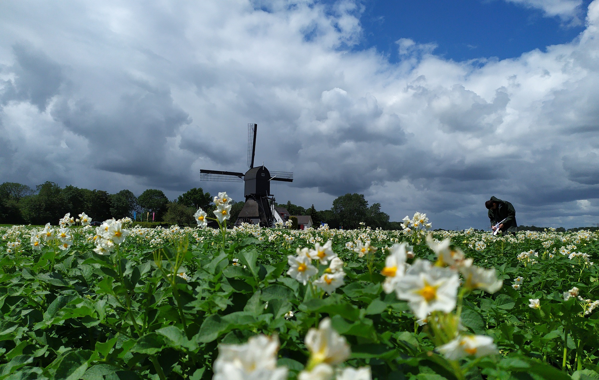 Aardappelboeren kunnen beter