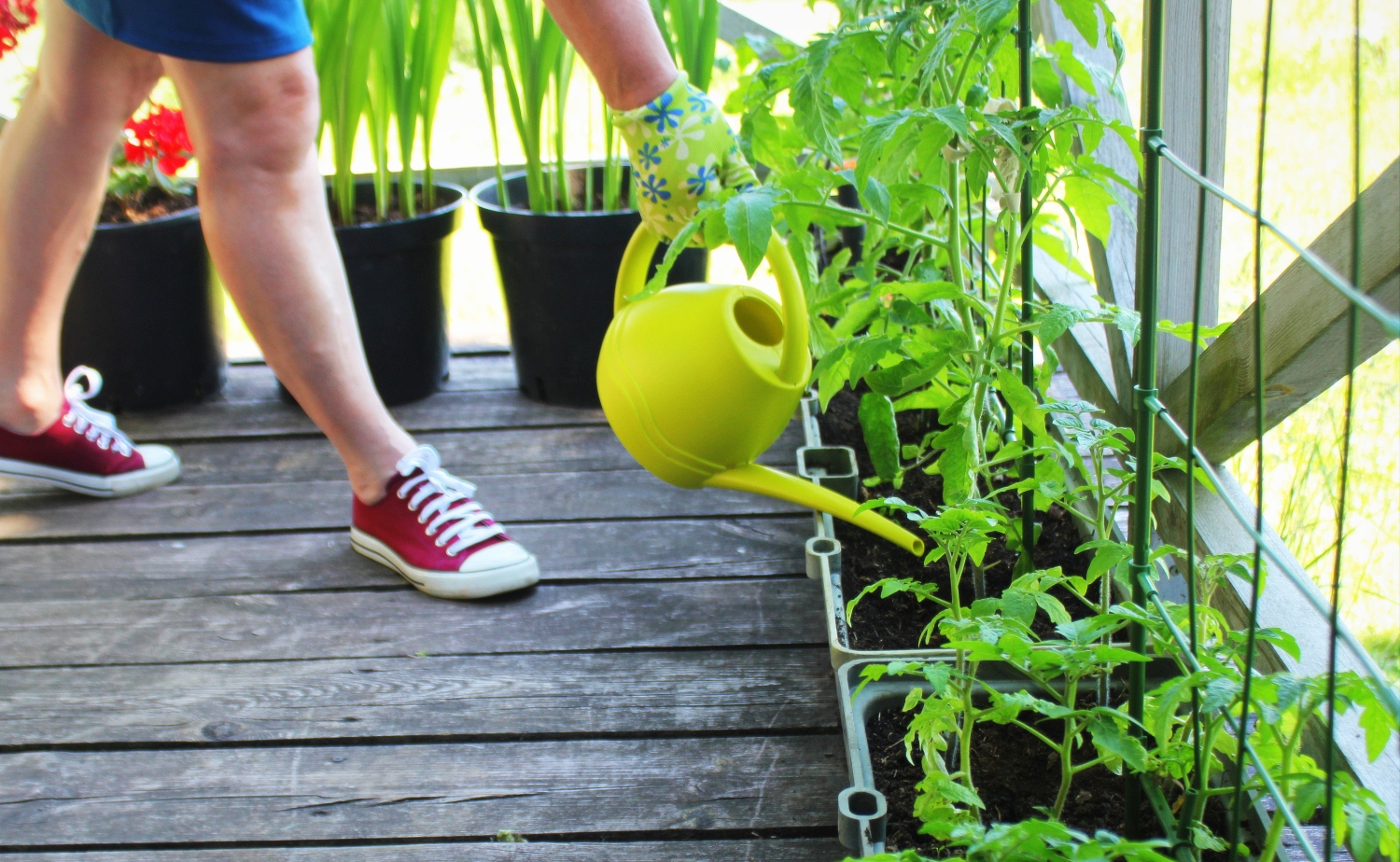 Zes tips voor een natuurvriendelijke tuin (of balkon)