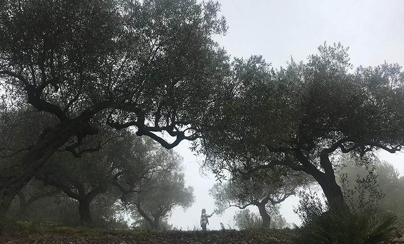 Moved by the forest