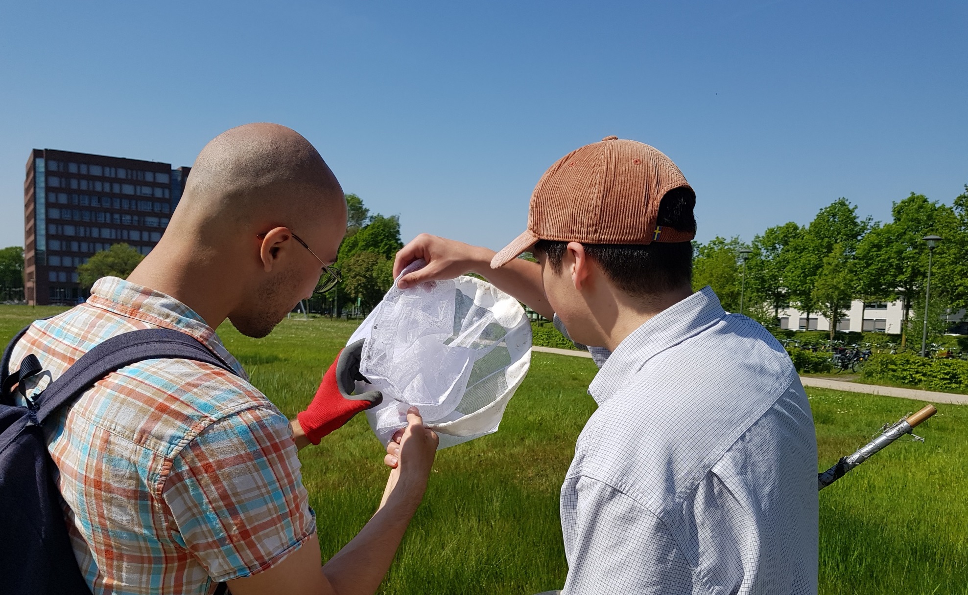 Bioblitz slaat de vleugels uit