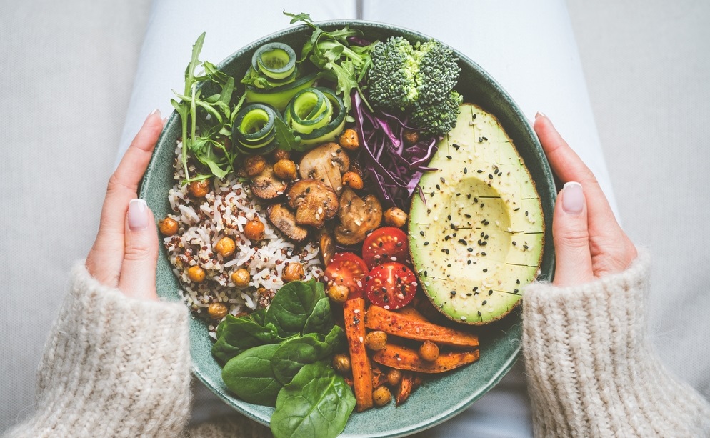 The Facts: vegan stikstofuitstoot