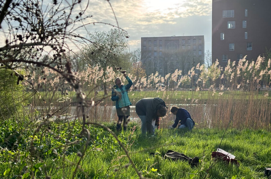 Experiencing nature ‘in the laboratory of the mind’