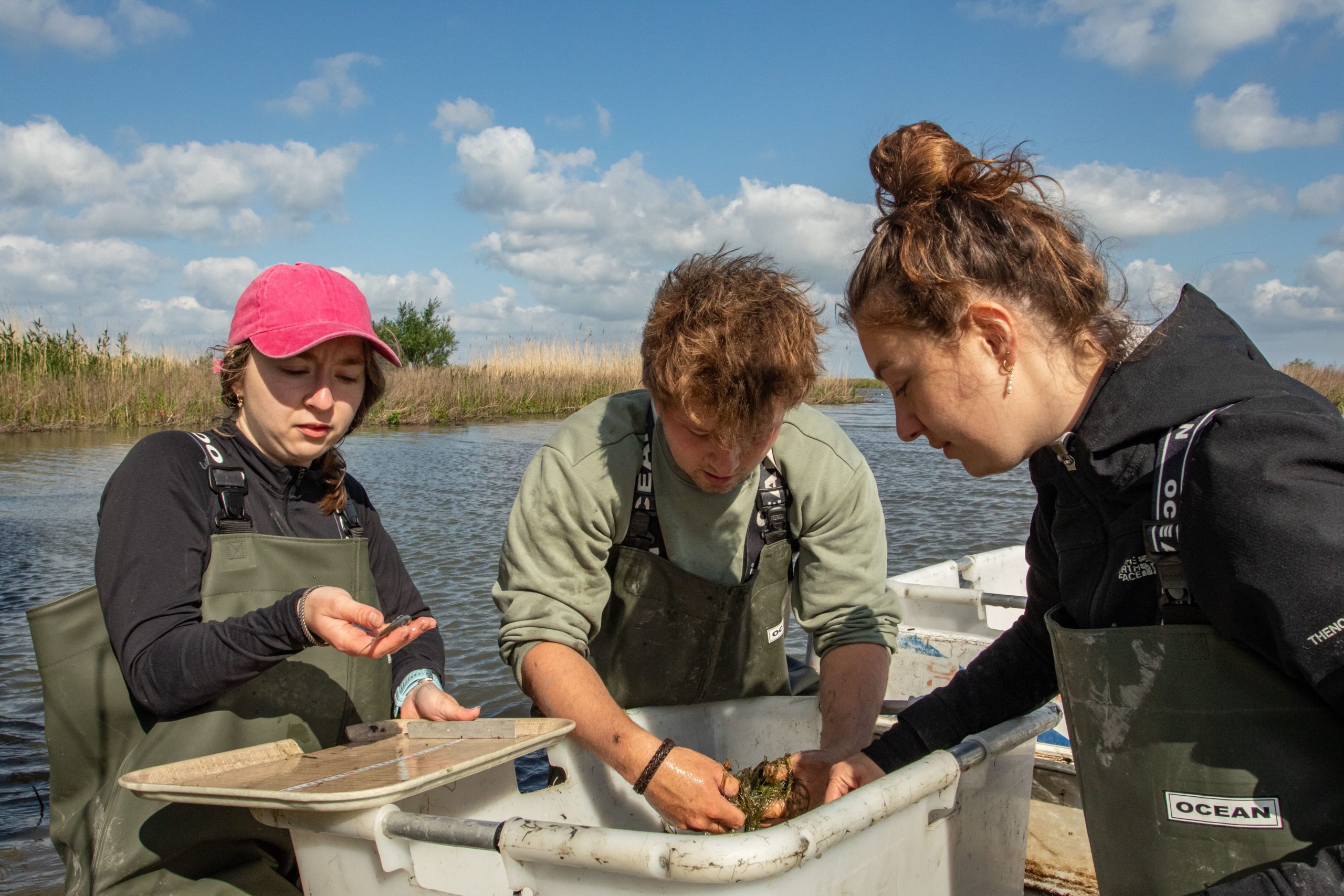 Blogging Marker Mudflats interns