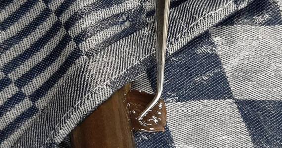 With a sample of fin tissue