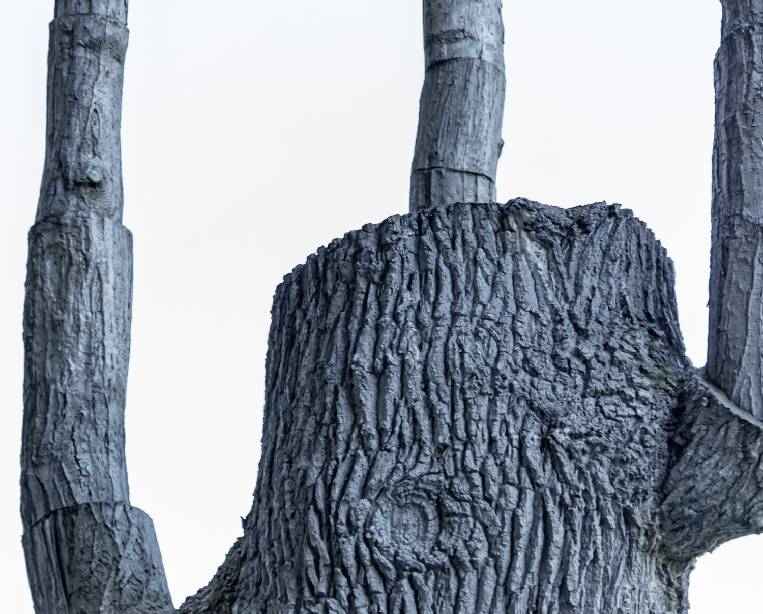 Art on campus: The dead tree