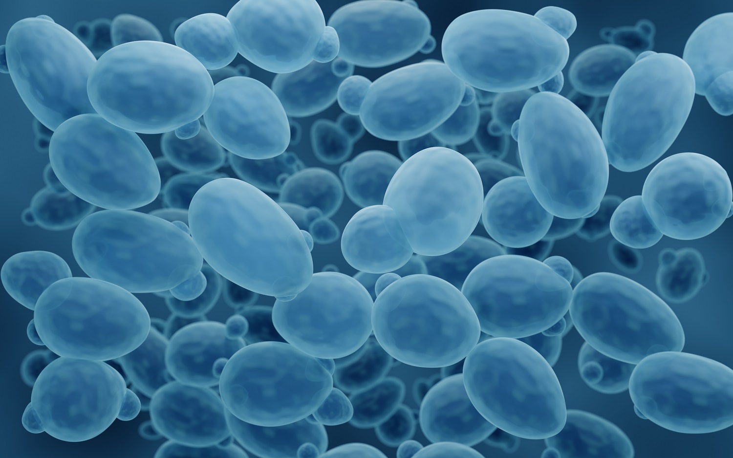 Yeast production lines
