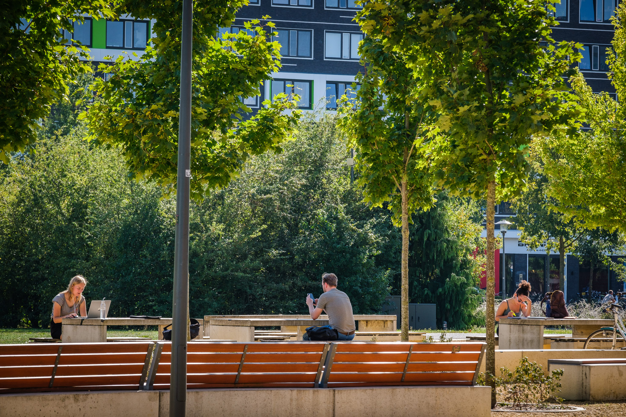 Leiden Ranking: find the best university yourself