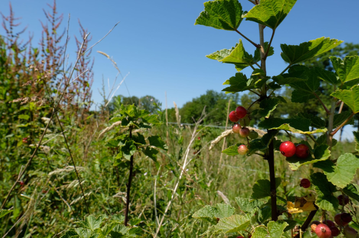 Interactive map shows the nature measures in your locality