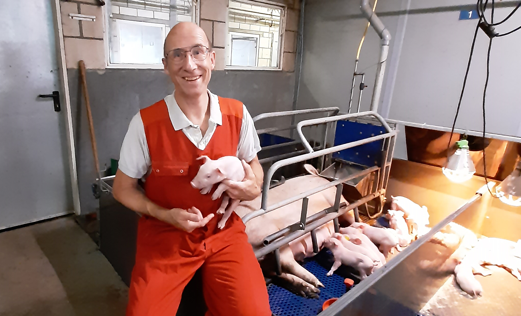 Is biologisch eten gezonder?