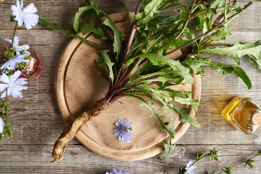 ‘Feed your gut, eat fibres’