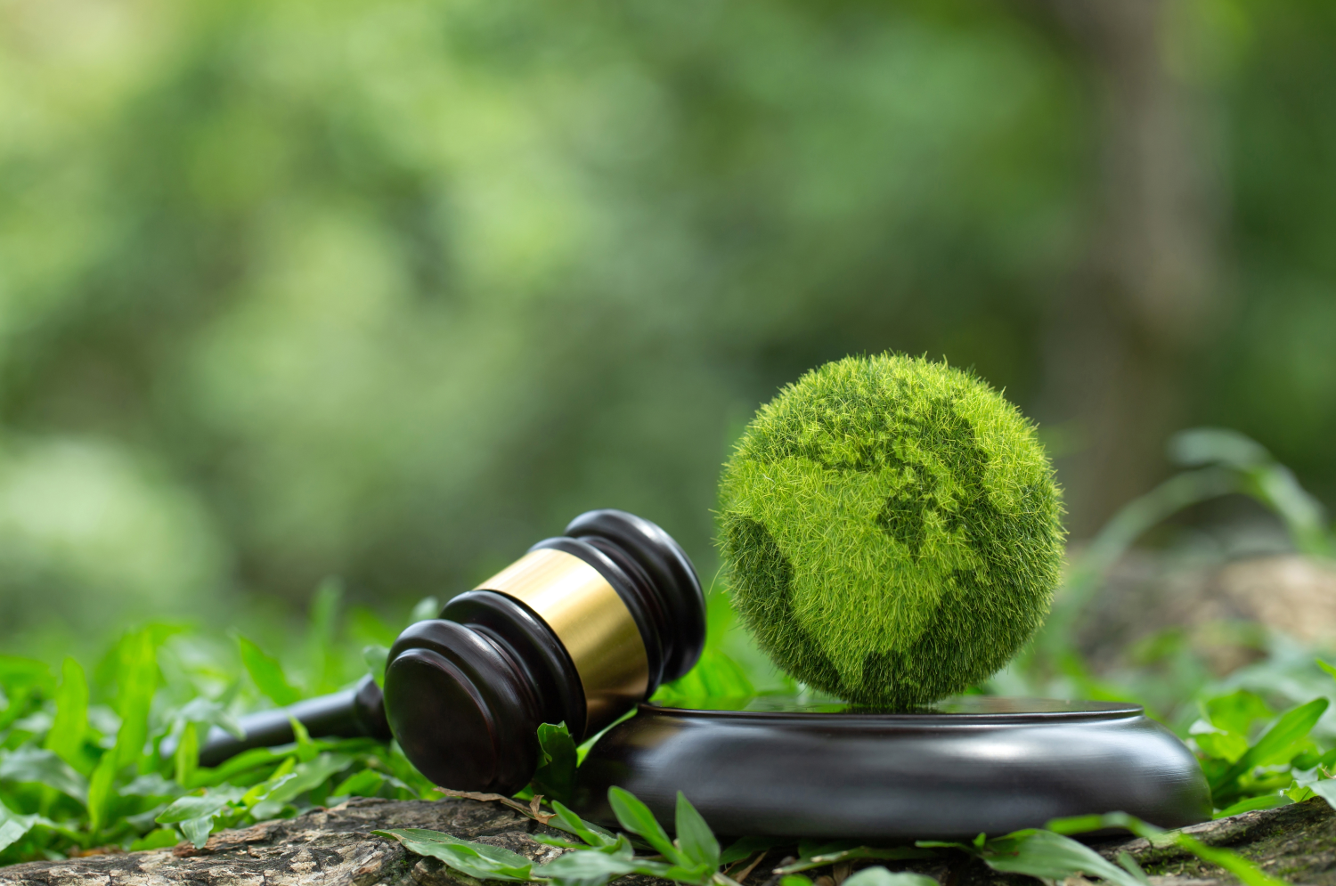 Dinsdag grote ‘groene’ rechtszaken op de rol