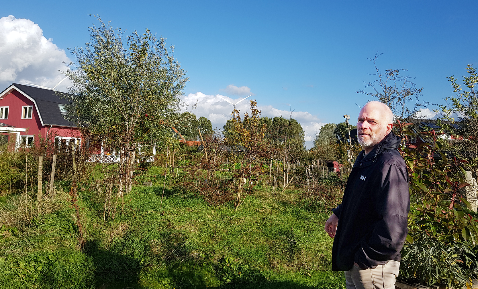 Boeren in de stad