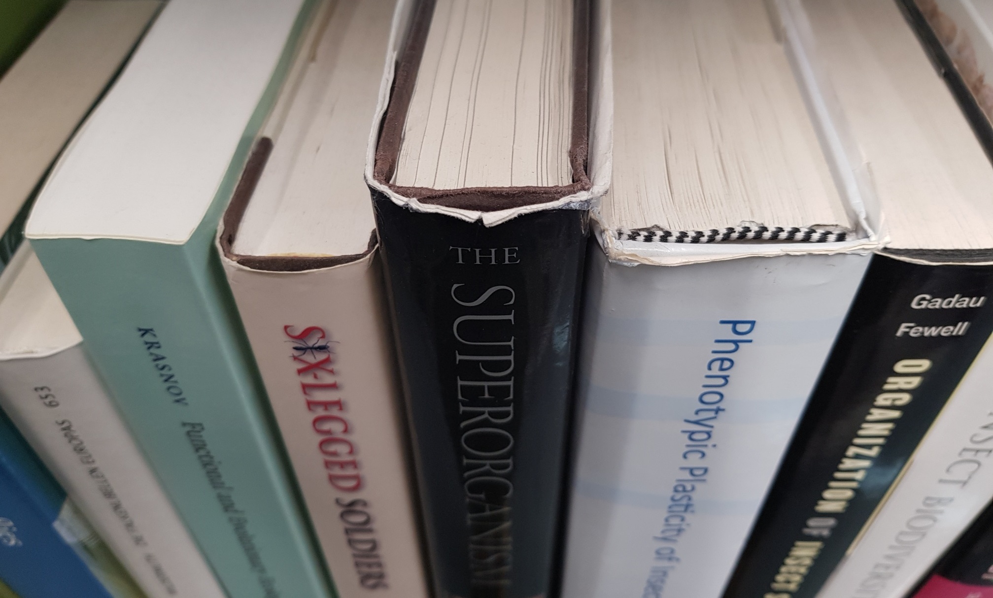 European tendering laws force WUR to buy books from mandatory supplier