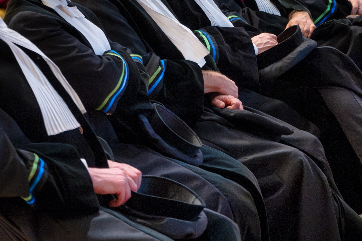 LNVH Monitor: over one thousand female professors