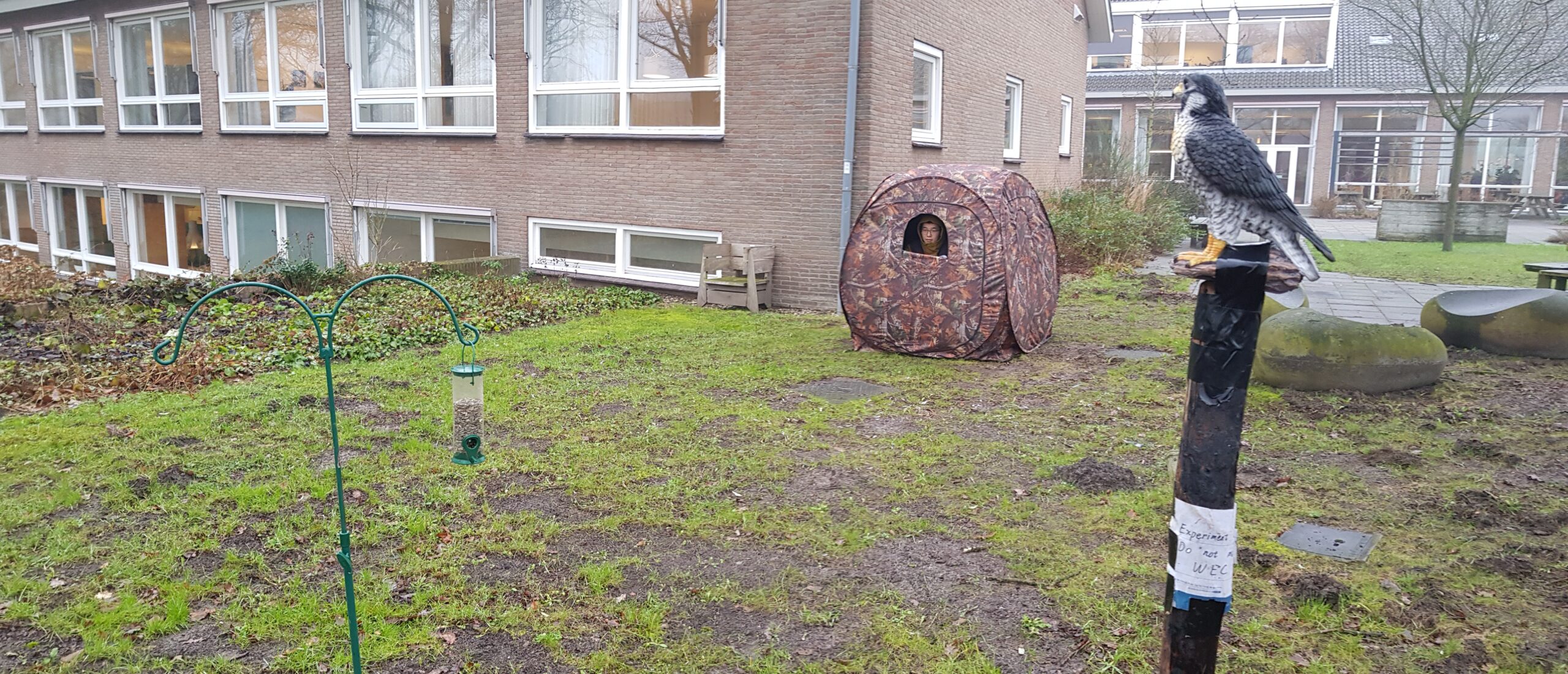 Viewing hut in the picture
