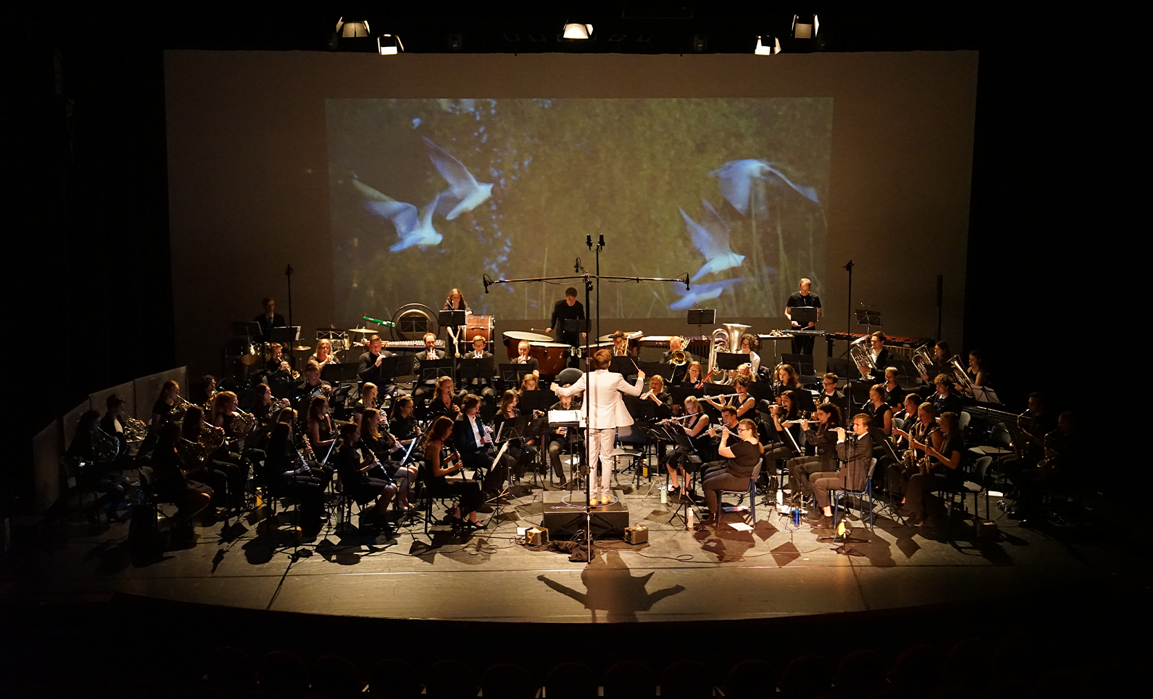Limelight:  War and Peace