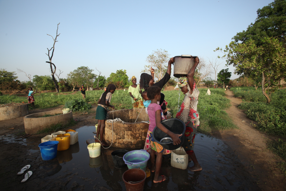 Giller and De Haas present book on food security in Africa