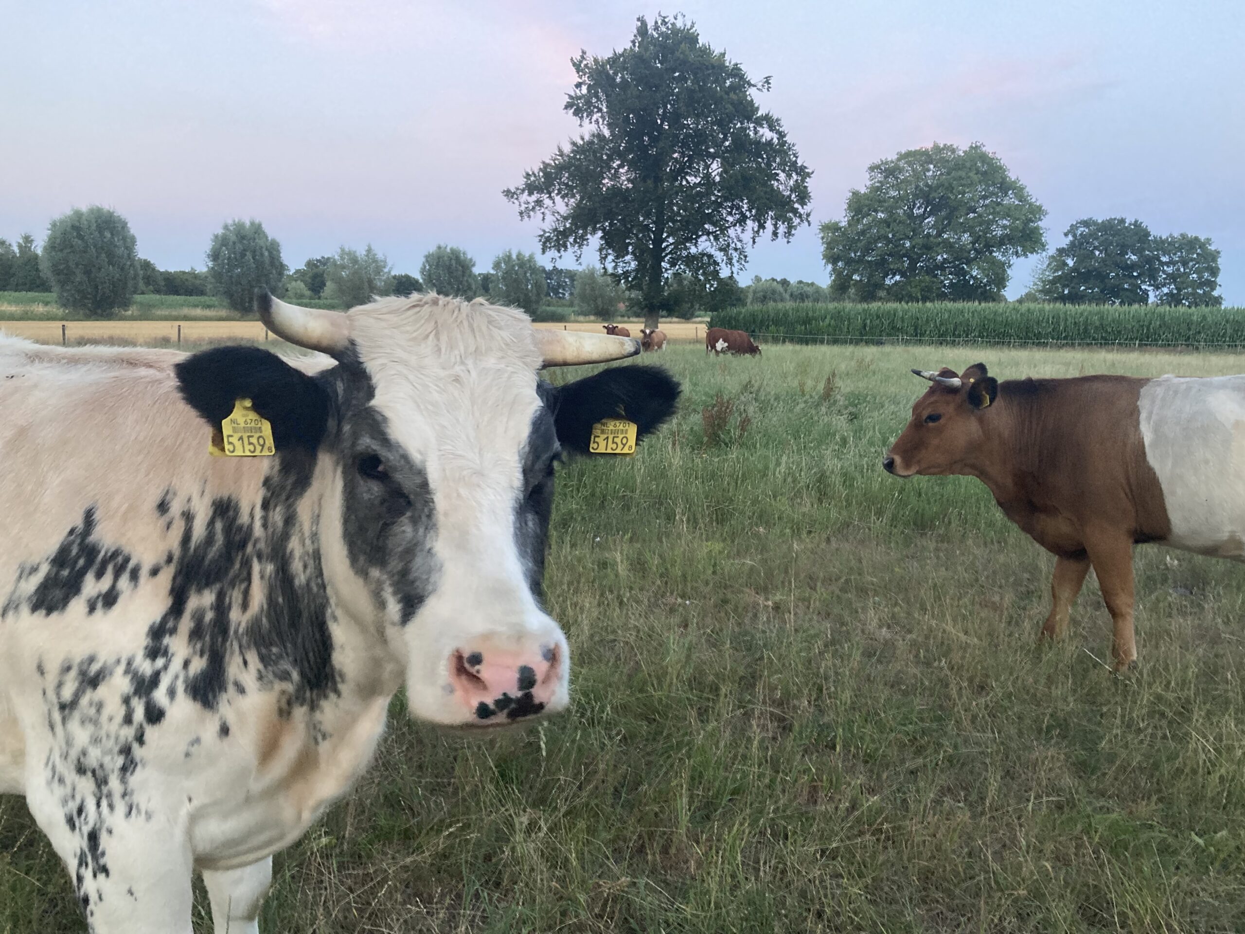 Animal-Friendly Livestock Farming Covenant signed