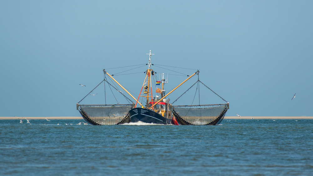 Fishing figures: more fishing, fewer mussels