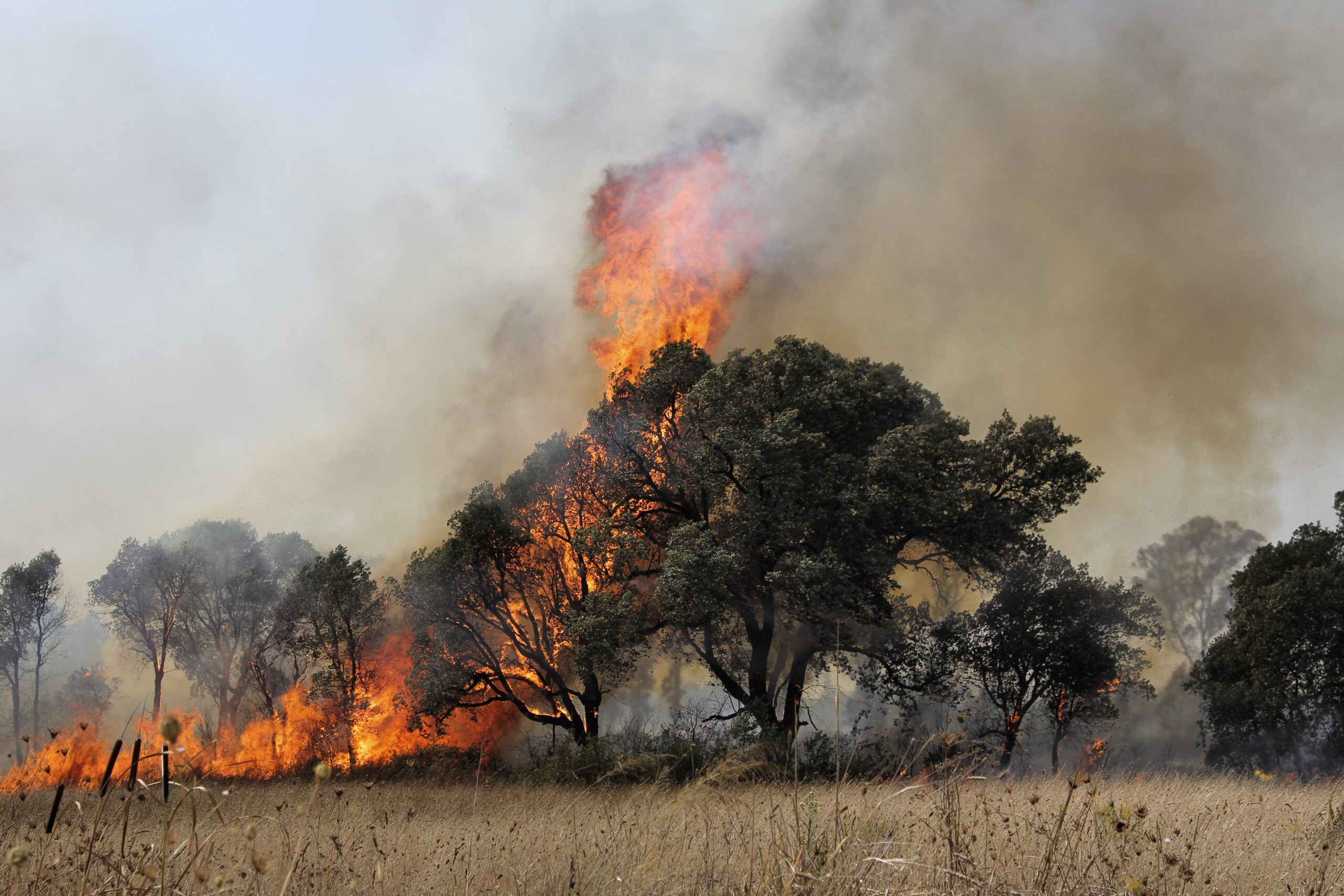 Preparing for fire