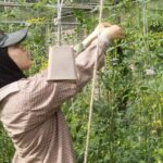 Hajar in the Ommuurde Tuin. Photo Ananya Doraswamy
