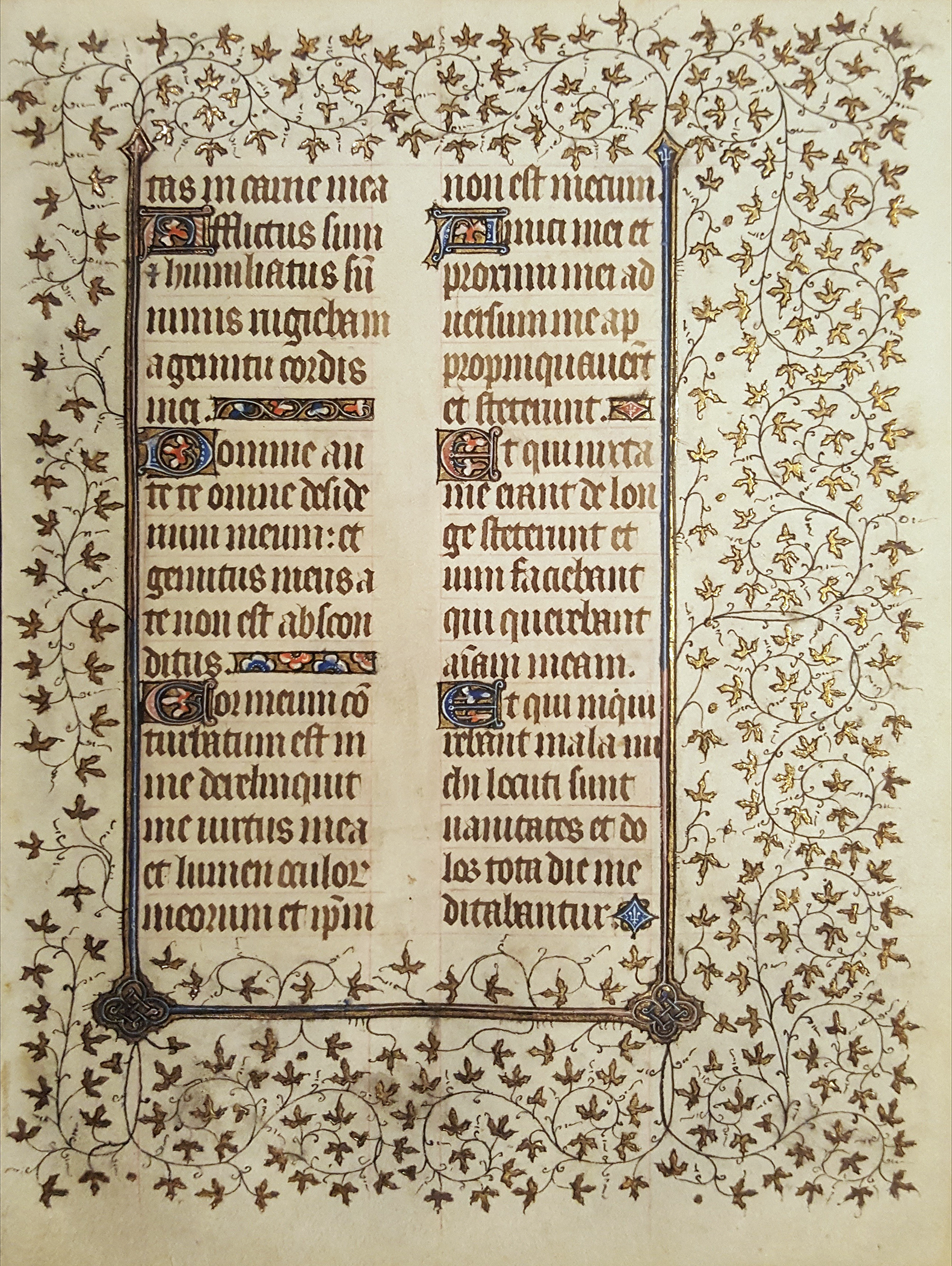The secrets of parchments