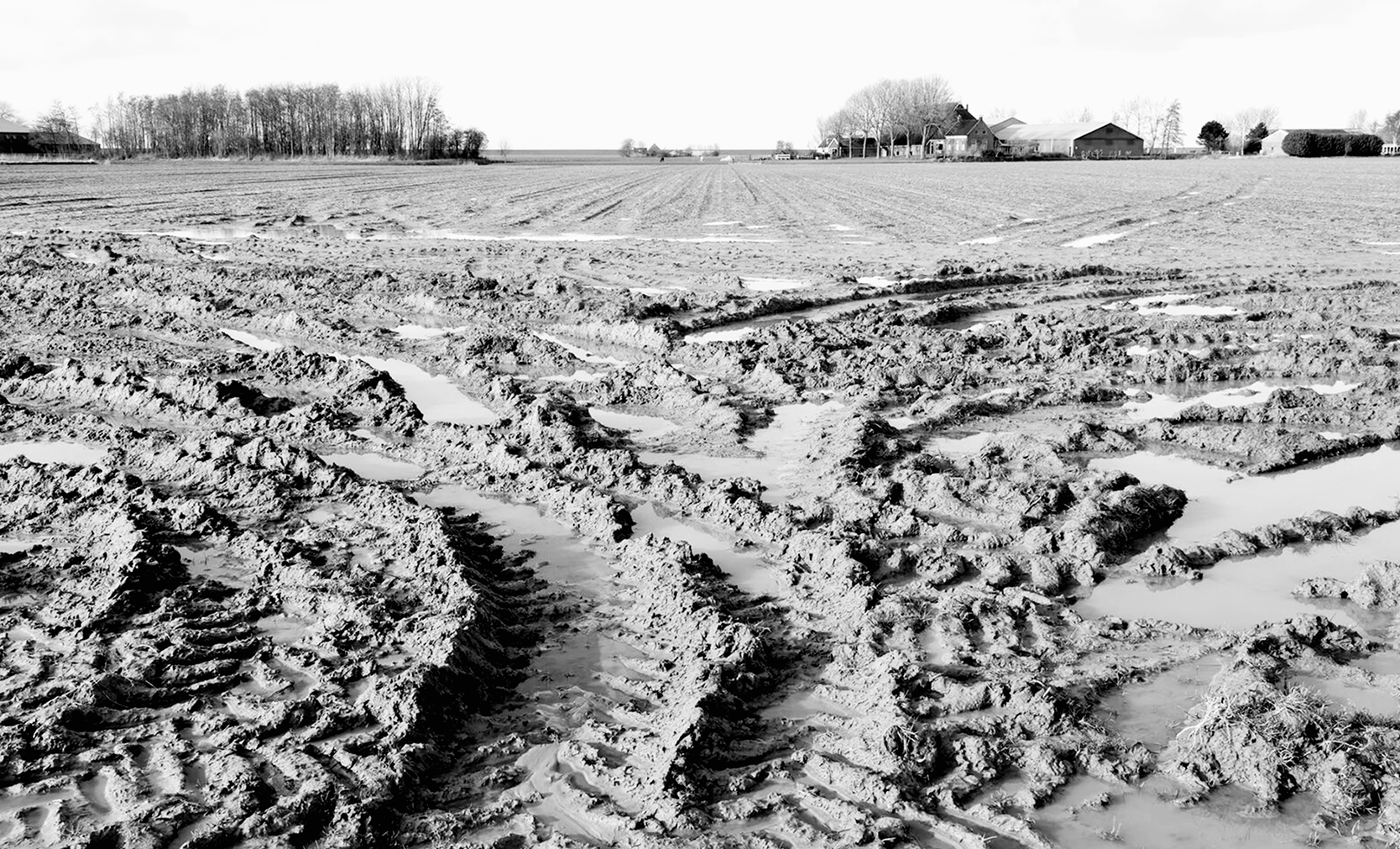 Tractors torment the soil