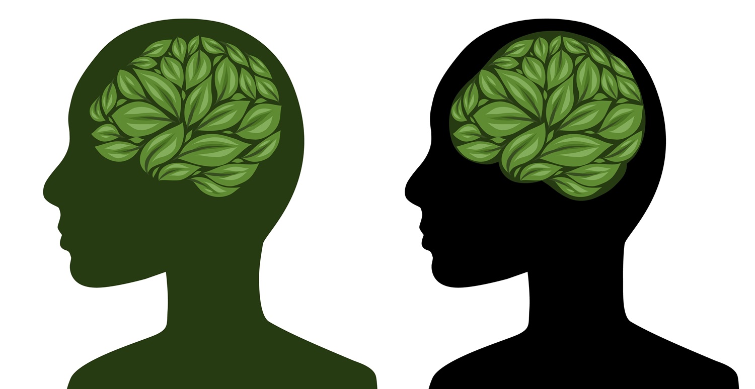 Zijn planten slim?